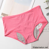 Leak Proof Menstrual Panties Cotton Panties Women Sexy Physiological Underwear Girls Period Waterproof Briefs Dropshipping