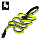 Truelove Dog Running Bungee Leash Hand-held Waistworn Adjustable Nylon Elastic Retractable Dog Leads for Running Jogging Walking